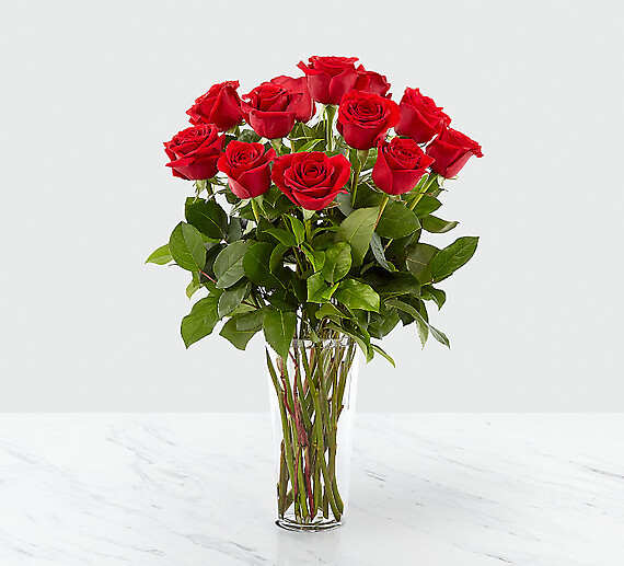 12 Long Stem Red Rose Bouquet 60 cm